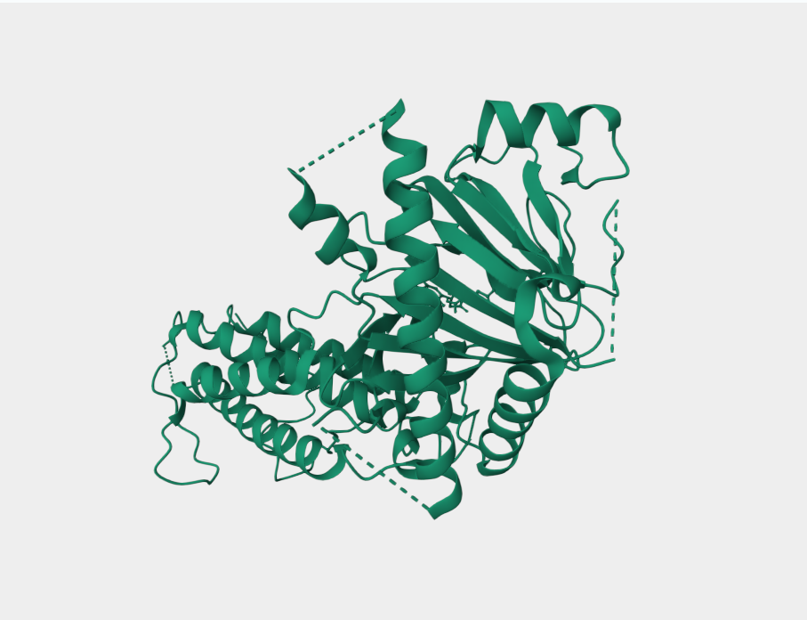 Estrutura 3D da FTO